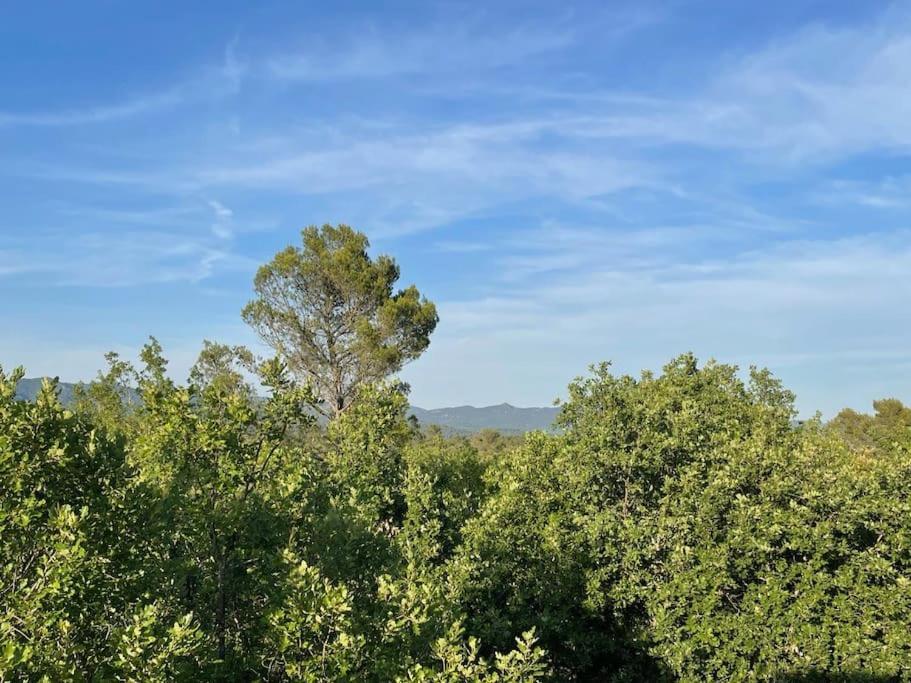 Villa Piscine - Gorges Du Verdon, Lac De Sainte-Croix Regusse Bagian luar foto